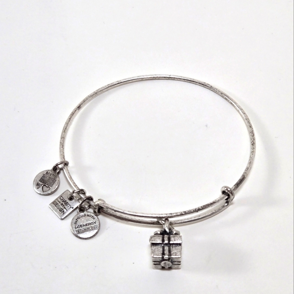 Alex and Ani Adjustable Bracelet Gift Box Silver Collectible Charms